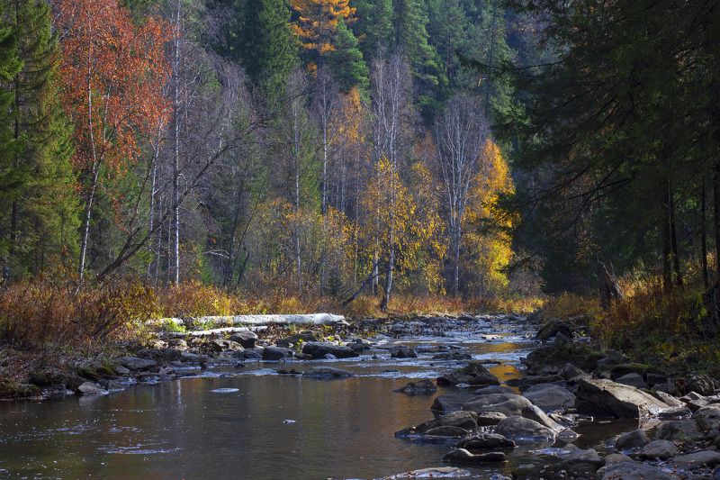 пейзаж, природа, осень, река, горная река, Южный Урал, Республика Башкортостан, лес, горы Осень на горной рекеphoto preview