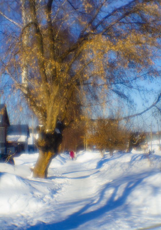 Синие тениphoto preview