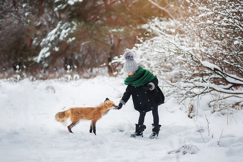 зима, лиса, девочка, лес, снег, портрет, милый ***photo preview