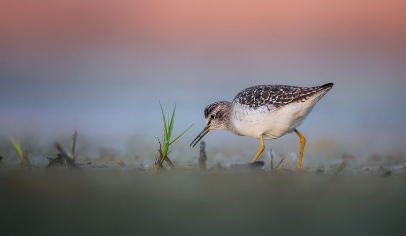 łęczakphoto preview