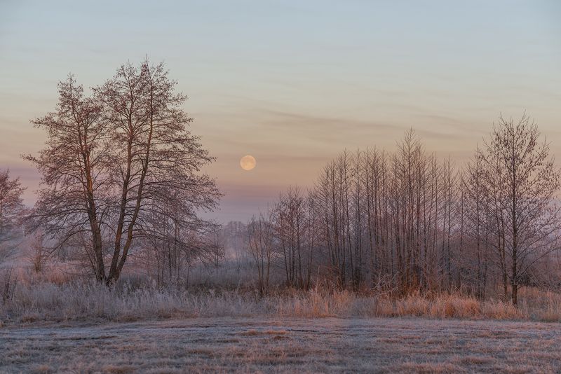 Луна уходящаяphoto preview