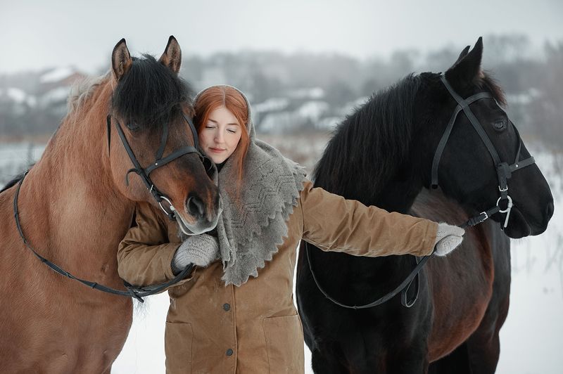 портрет, лошади, зима, конюшня, удмуртия, деревня ***photo preview