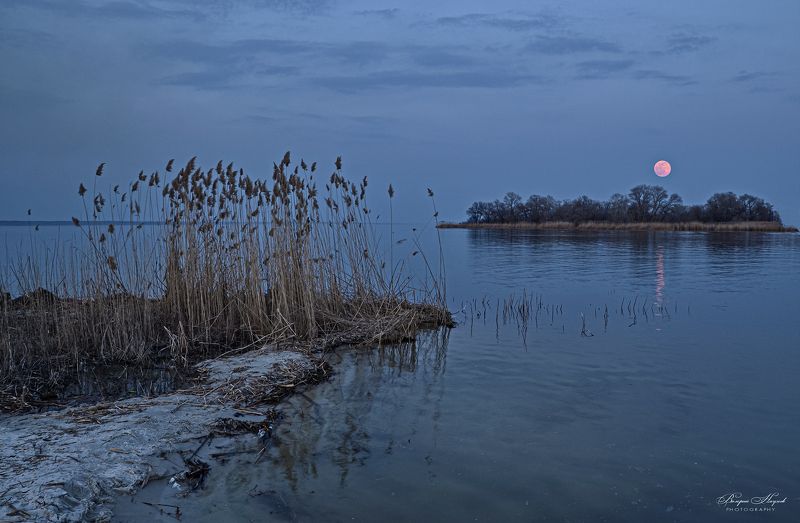 полнолуние, река, восход, март, дорожка, камыш Розовое полнолуние мартаphoto preview