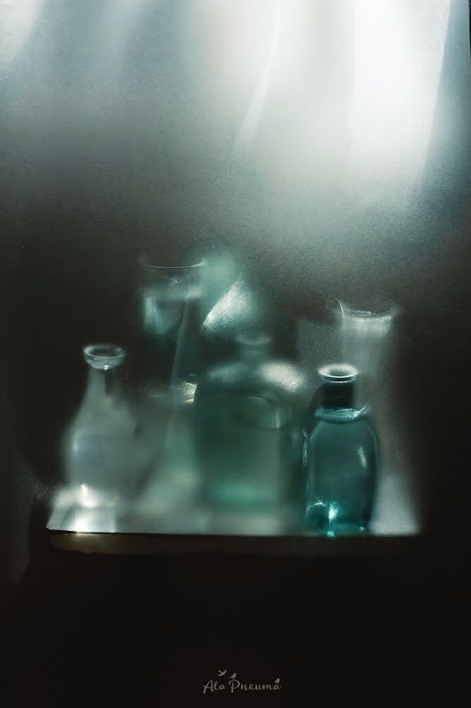 натюрморт Солнечные зайцыphoto preview