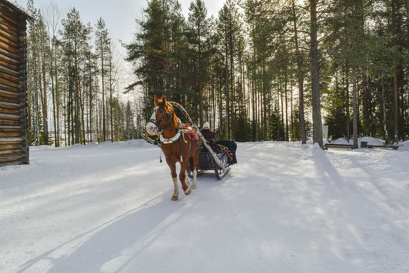 В музее деревянного зодчества \