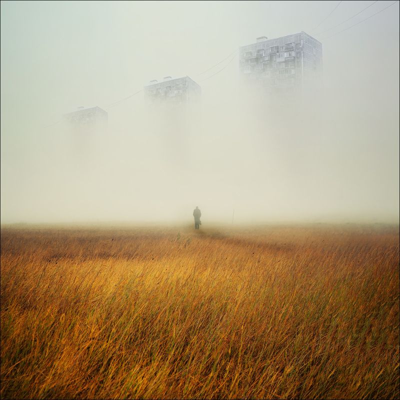 туман, ёжик, лошадка ***photo preview