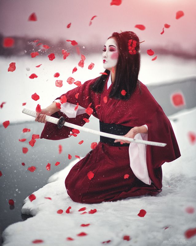 Bushidophoto preview