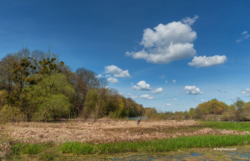 очарована весна...photo preview