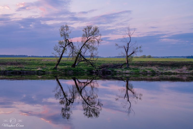 Смеркалось...photo preview