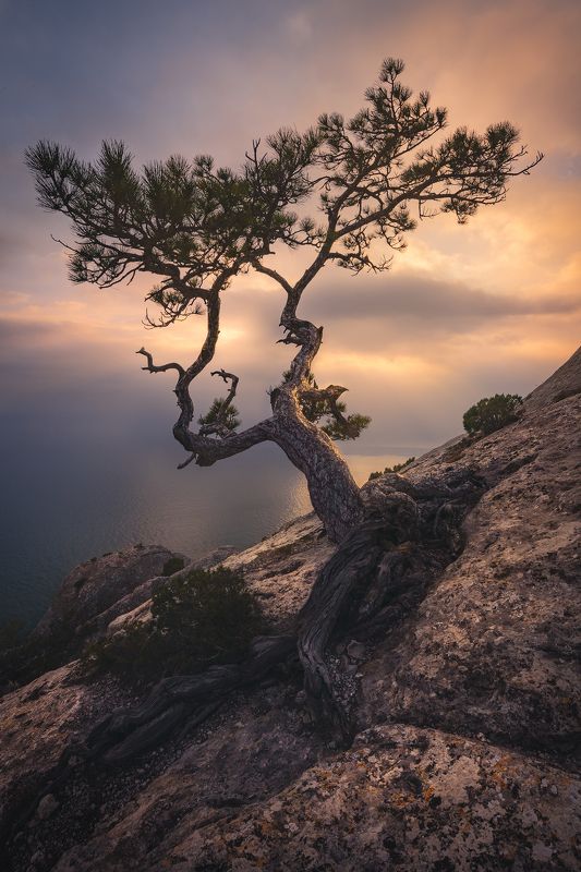 Крымphoto preview