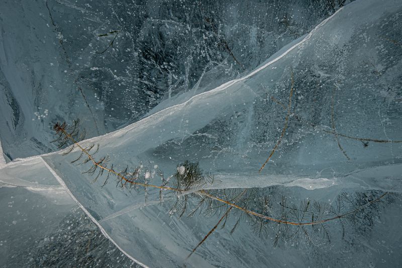 природа, лед застывшая грацияphoto preview