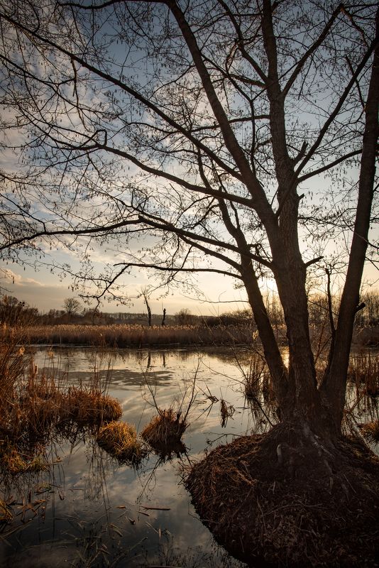 угодья бобровphoto preview