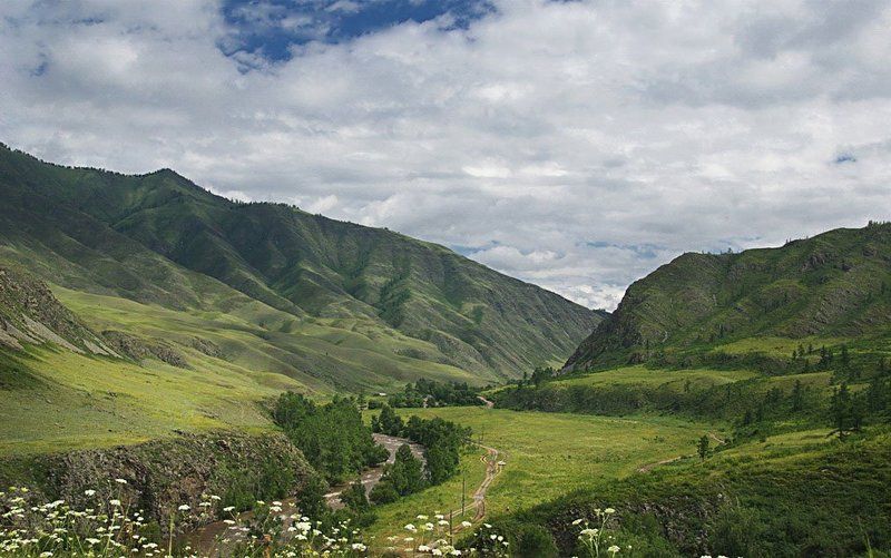 Алтайские зарисовки2 фото превью