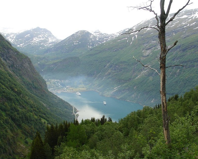 лето.путешествие.норвегия.гейрангер, фьорд.древо.жизнь Древоphoto preview