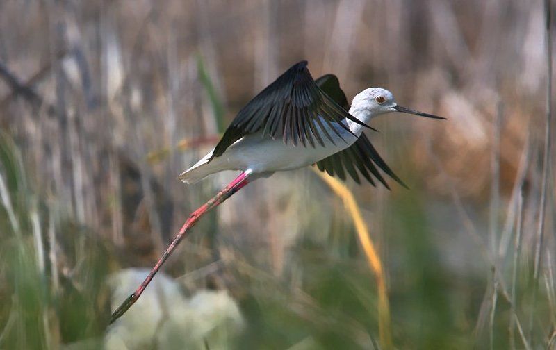 На взлетphoto preview