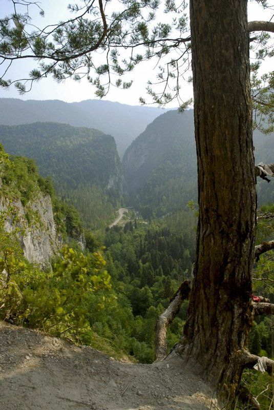 абхазия, страна души Ущельеphoto preview