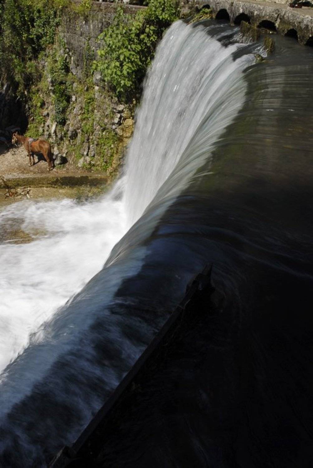 абхазия, страна души, Sergey Tarba