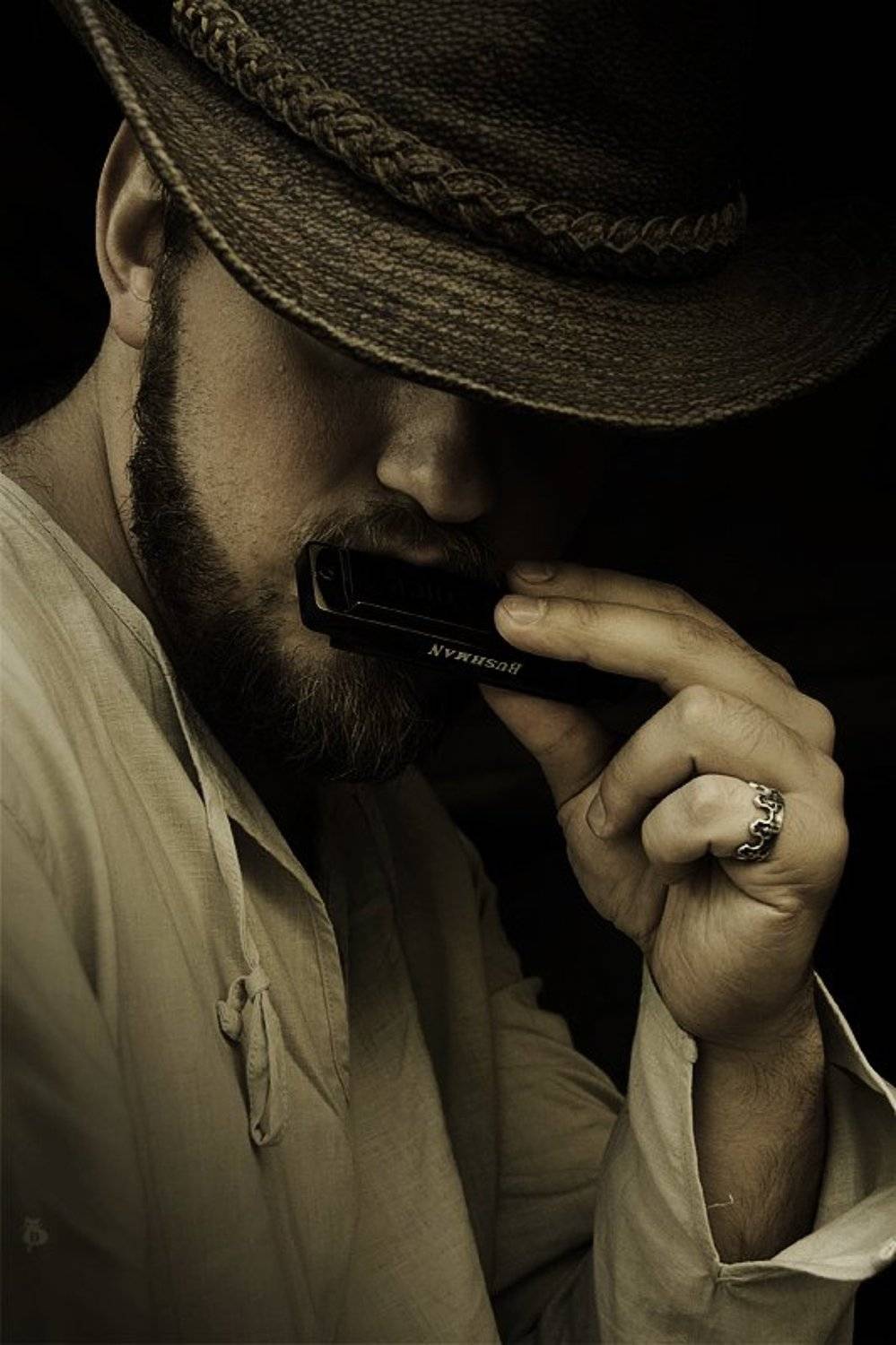 мужчина, музыка, гармошка, Darn Cat