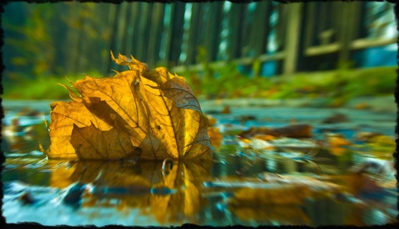 корабликphoto preview