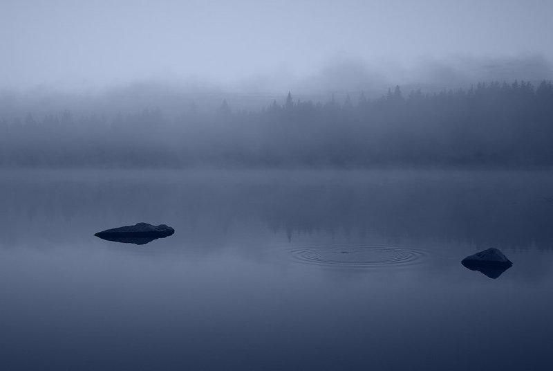 осень, утро, туман Осеннее утроphoto preview