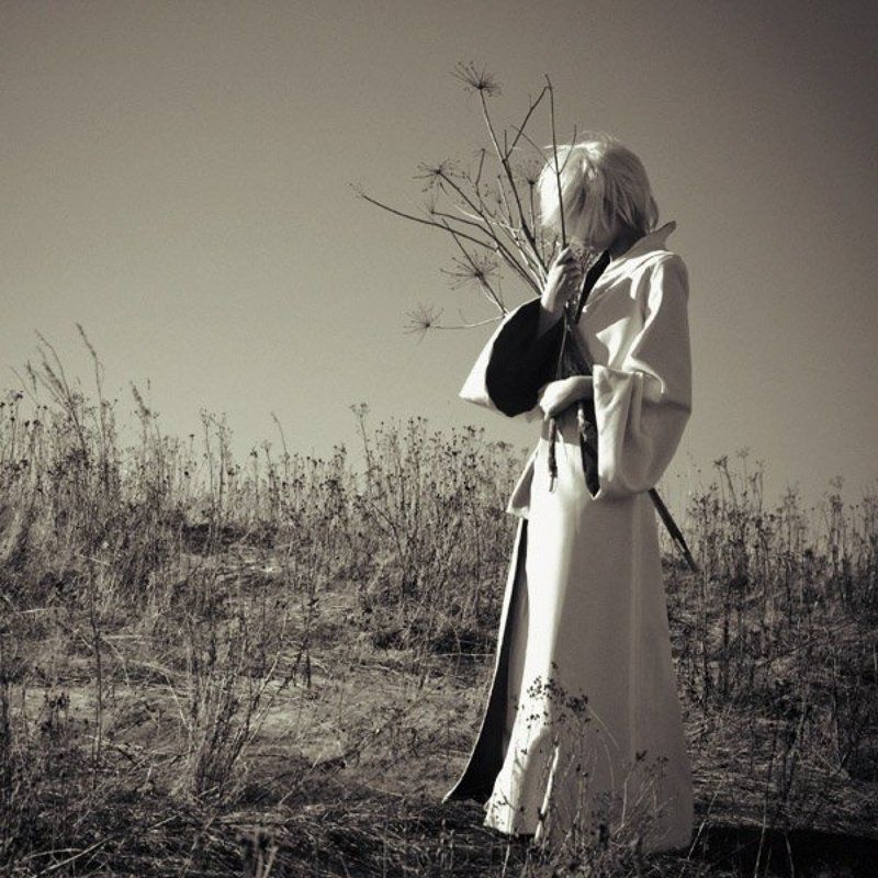 сено photo preview