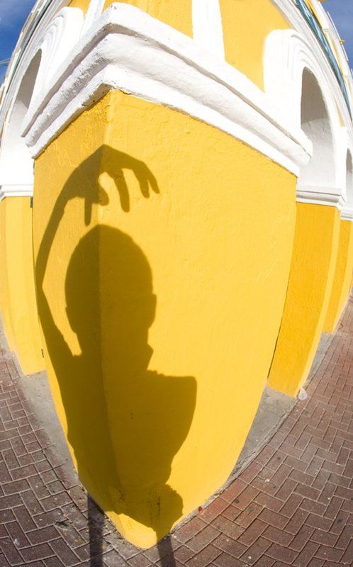 автопортрет Сам себе режисерphoto preview