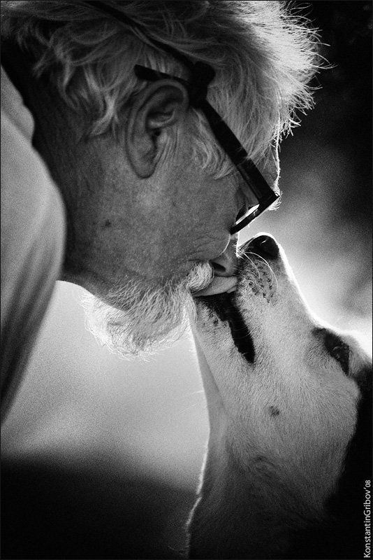 Преданностьphoto preview