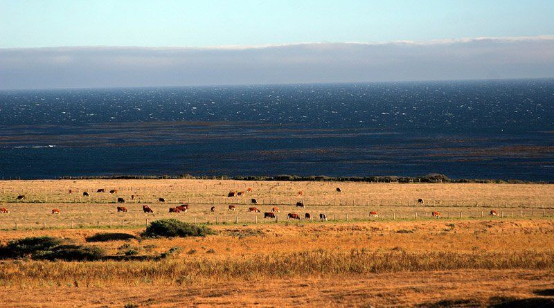 Pacific Coast Hiwayphoto preview