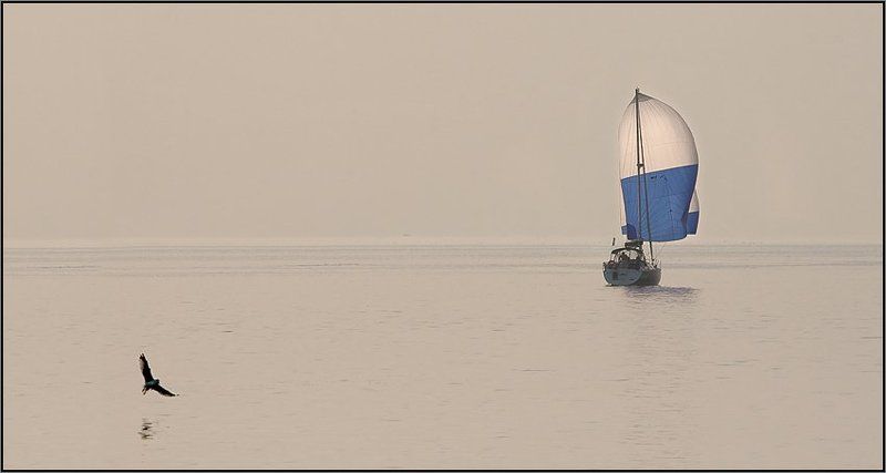 Вечерняя дымкаphoto preview