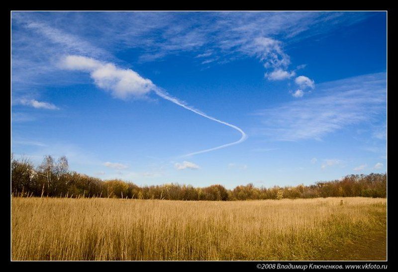 Желтое с синимphoto preview