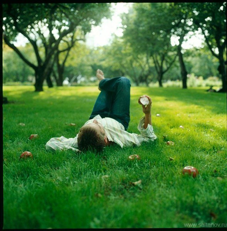 Сентябрьские яблоки в Коломенском.photo preview