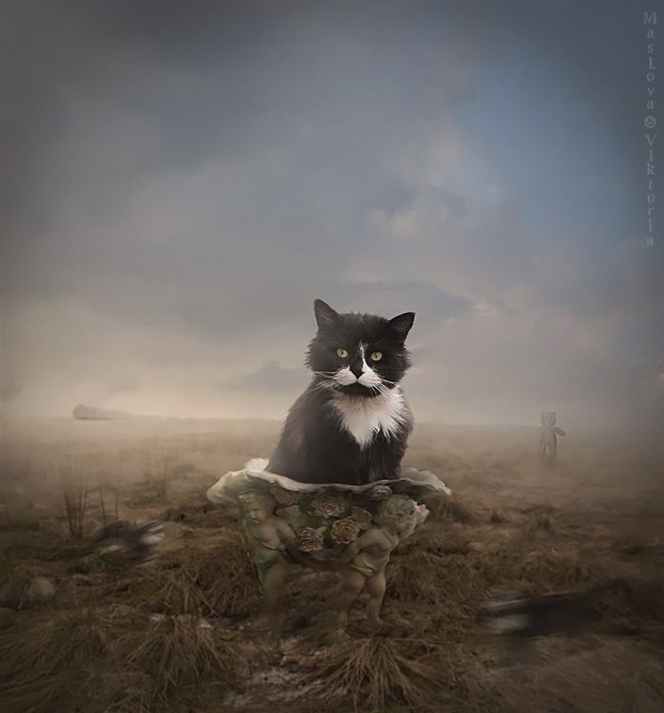 мишка, путешествие, кот Кто-тоphoto preview