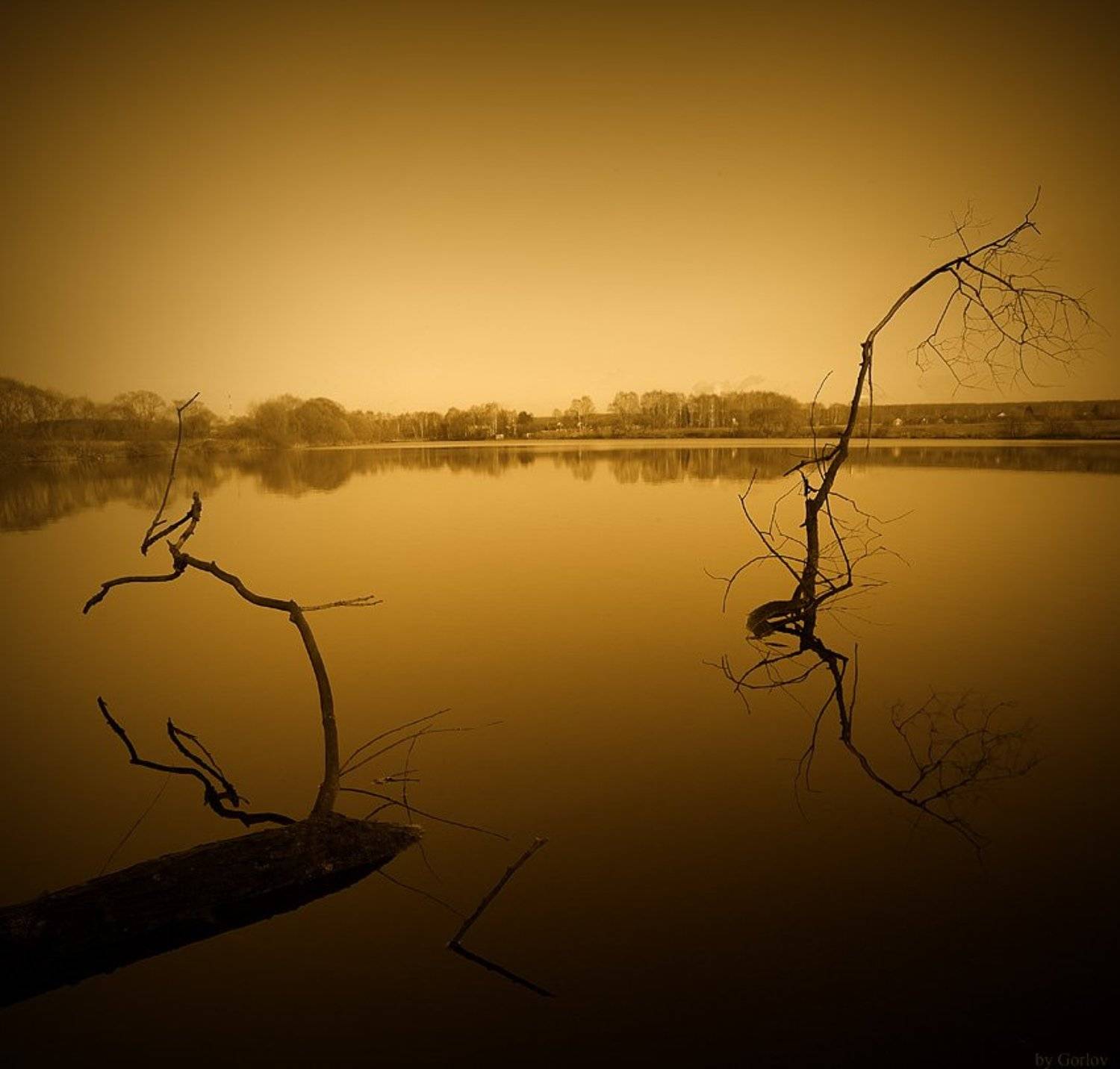 nature, Александр Горлов