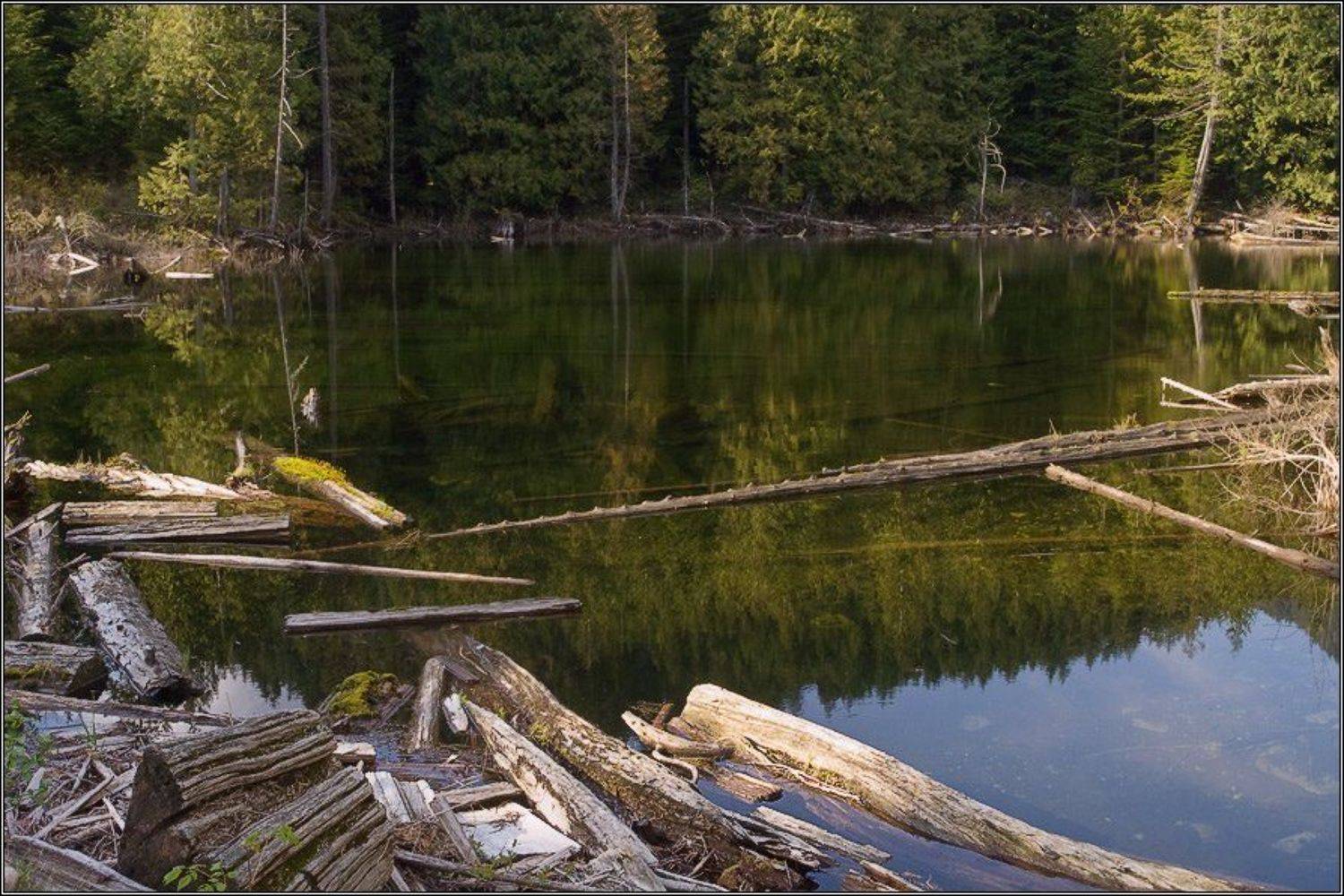 , Alexandre Michourovskii