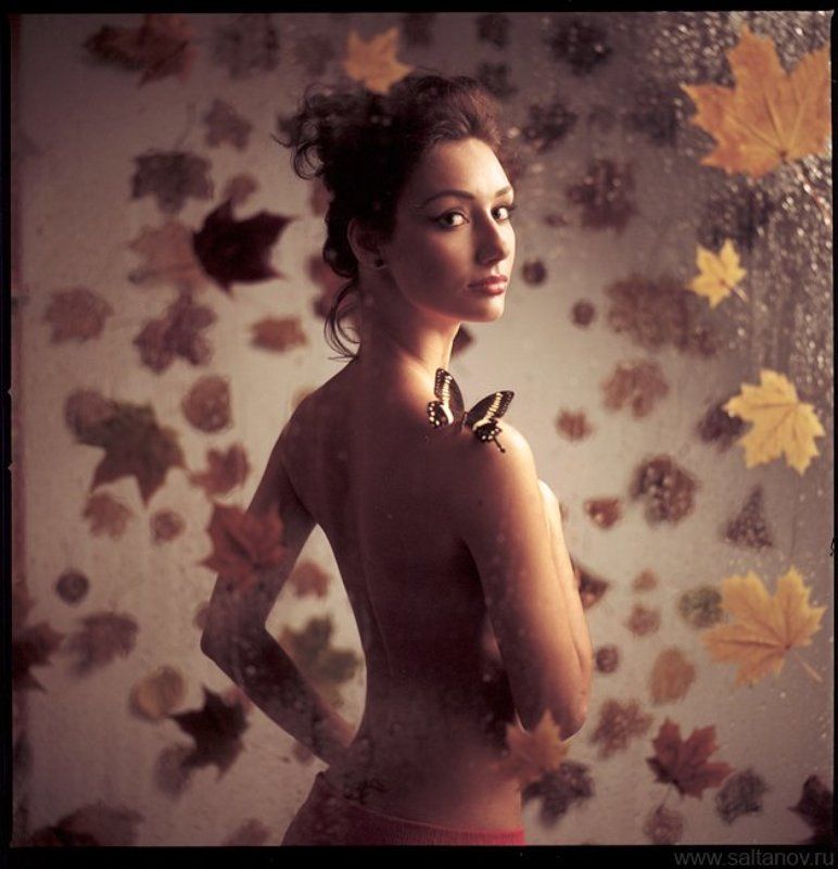 Бабочка умирает в понедельник.photo preview