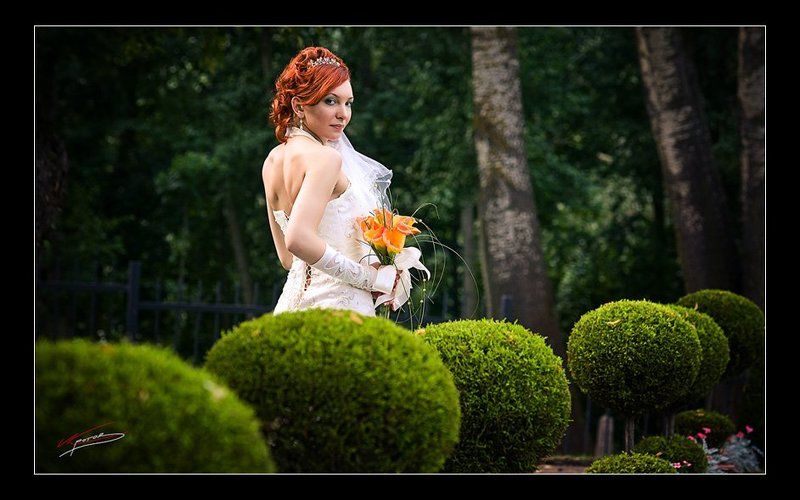 свадебнаяphoto preview