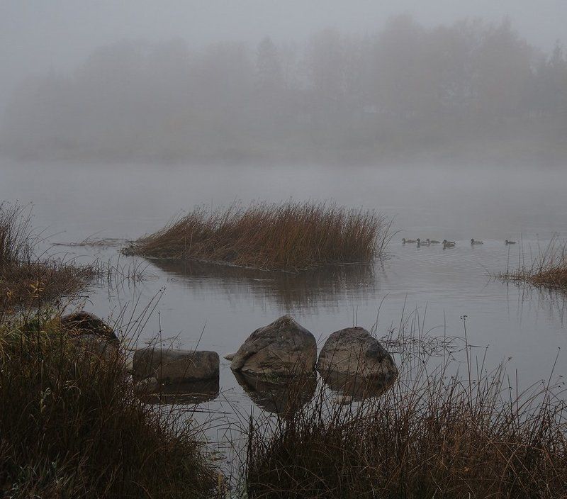 Осенний марафонphoto preview