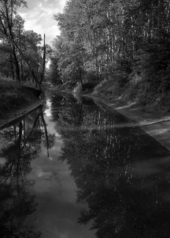 река, деревья, облака, отражения Отраженияphoto preview