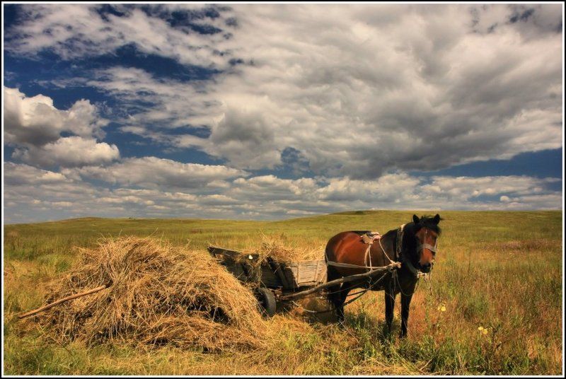 трудягаphoto preview