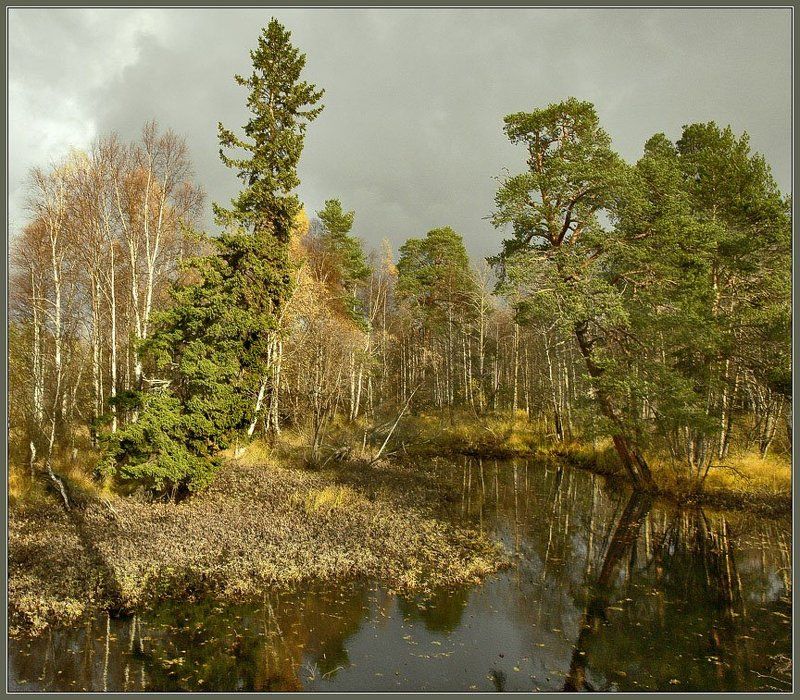 Унылая пора...photo preview