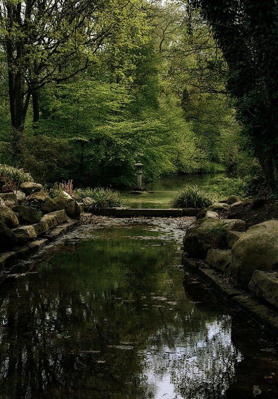 парк, весна, германия, бремен, рододендроны Есть в графском парке...photo preview