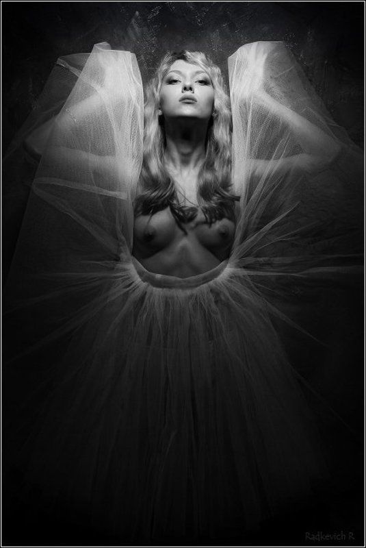 мотылекphoto preview