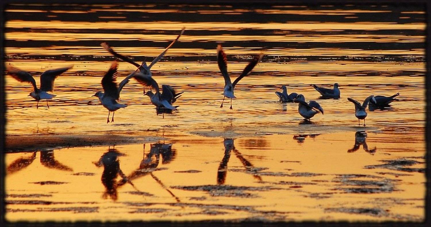 музыкальный коллектив. Автор: Евгений Смердов , Евгений Смердов