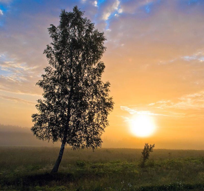 Во-поле березка стояла. Рассвет.photo preview