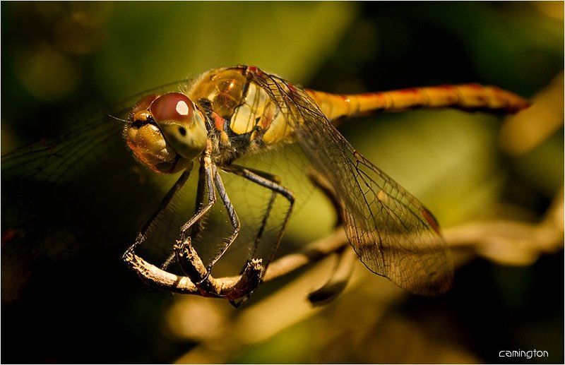 вечер трудного дняphoto preview