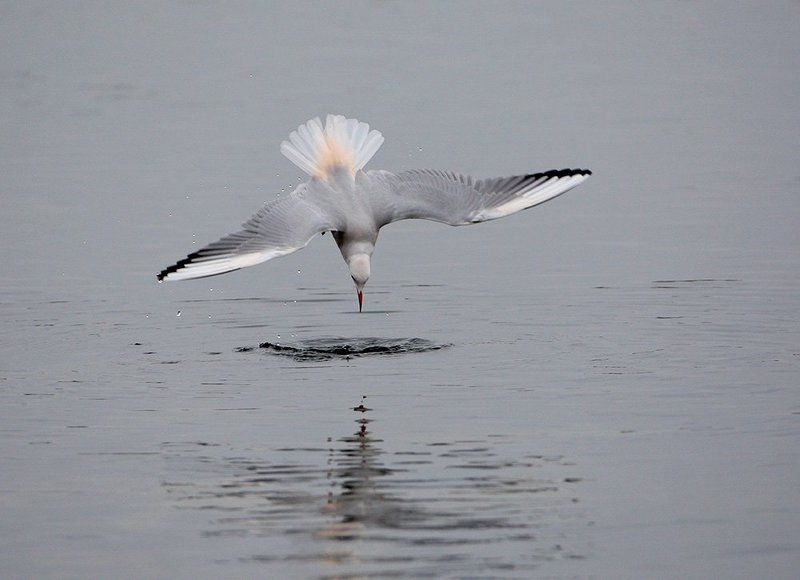 Ну???photo preview