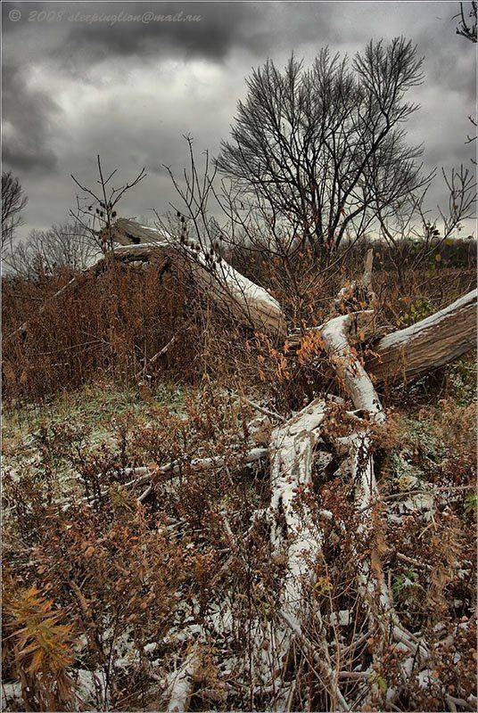 Первый...... Автор: Pilgrim пейзаж, pilgrim, осень, снег, Pilgrim