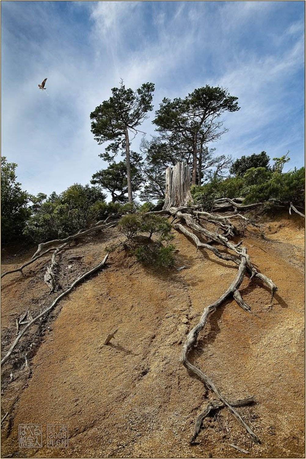 япония, миядзима, остров, пейзаж, Ханмурзин Павел