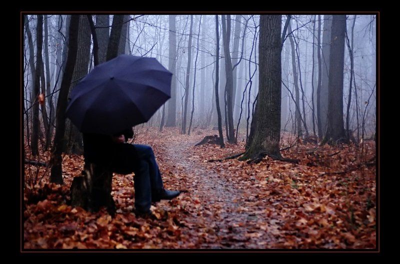 туман, осень, дождь, зонтик сезон туманов фото превью