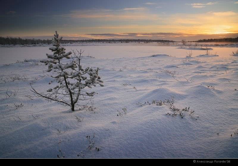 мурманск,зима,тундра, Александр Рогачёв